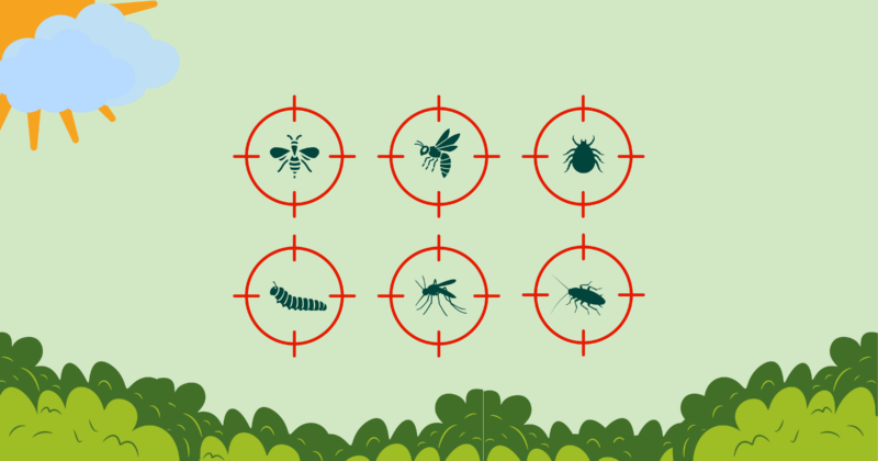 Pollens et espèces invasives : comprendre, anticiper et agir au niveau local